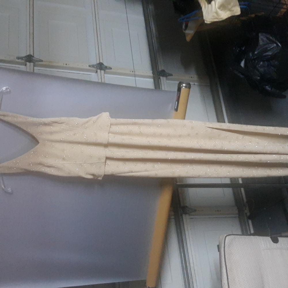 Beautiful Night Way Size 6 Gold Sparkly Dress (SKU 121)